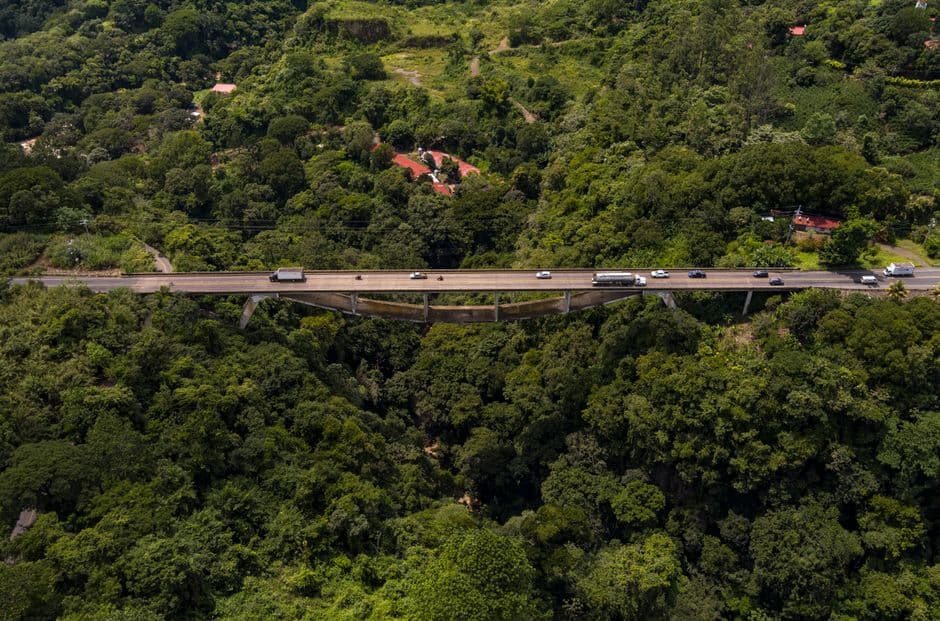 Puente colgante rodeado de frondoso bosque verde, en el chat de Guápiles