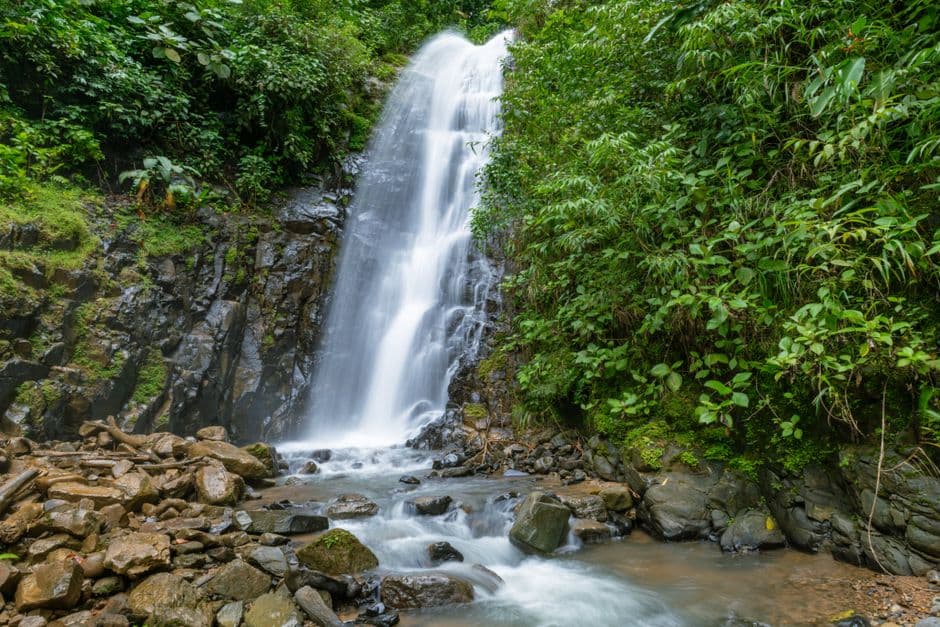 Cascada rodeada de verde, en la sala de chat de Guadalupe