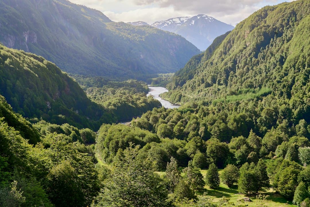 Valle cubierto de árboles frondosos y montañas, en el chat de Coyhaique