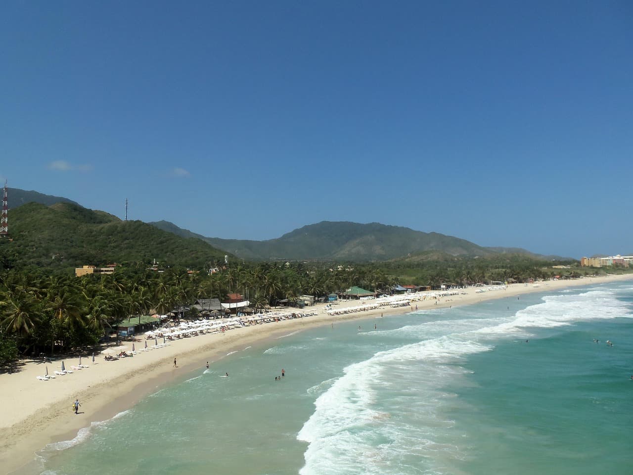 Palmeras al sol junto al mar, en el chat de Biruaca