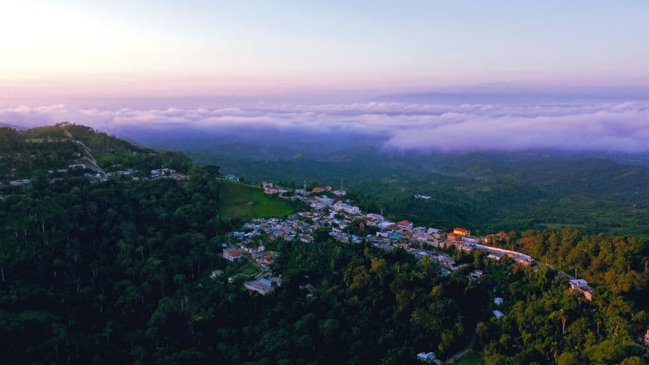 Vista aérea de casas y árboles verdes entremezclados, en la sala de chat de Choloma