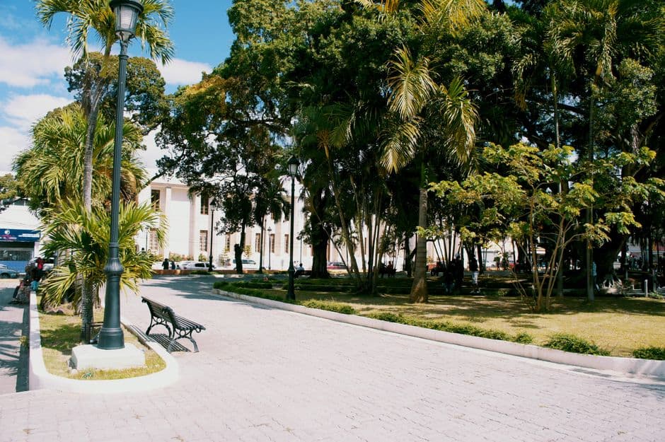 Camino gris entre la vegetación, en el chat de Constanza, República Dominicana