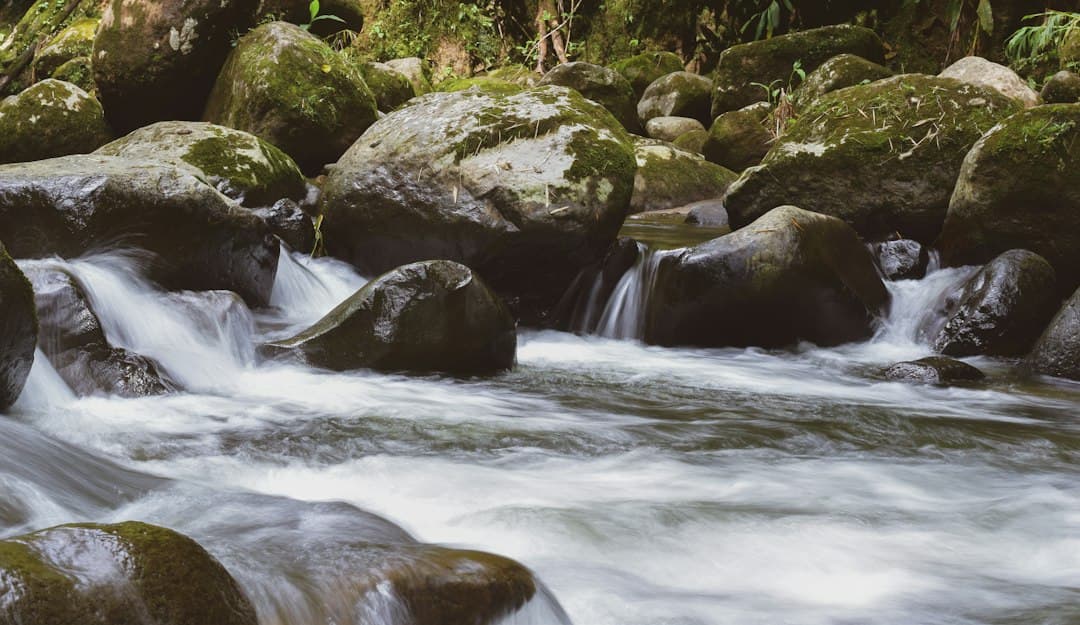 Río con rocas en su cauce, en el chat de Florida