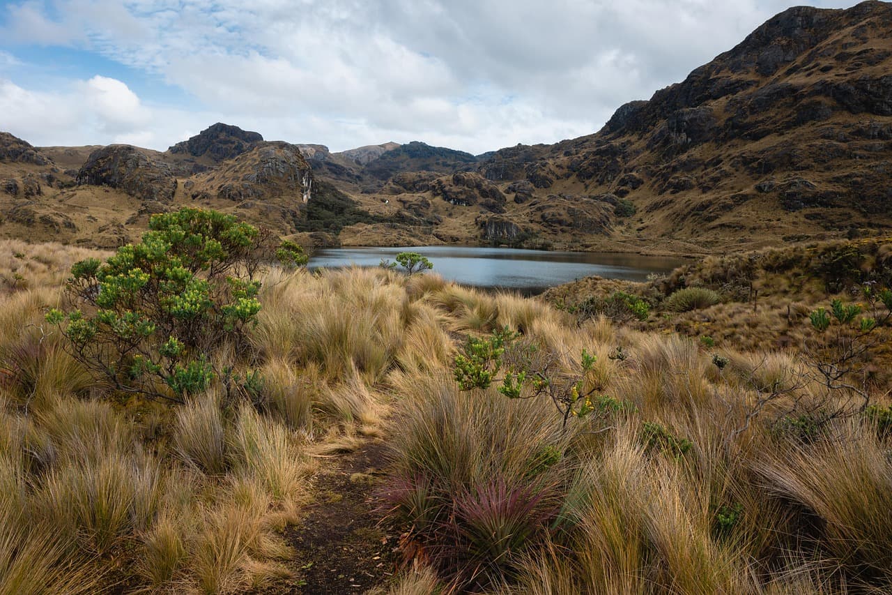 Lago, humedal y montañas, en el chat de Balzar