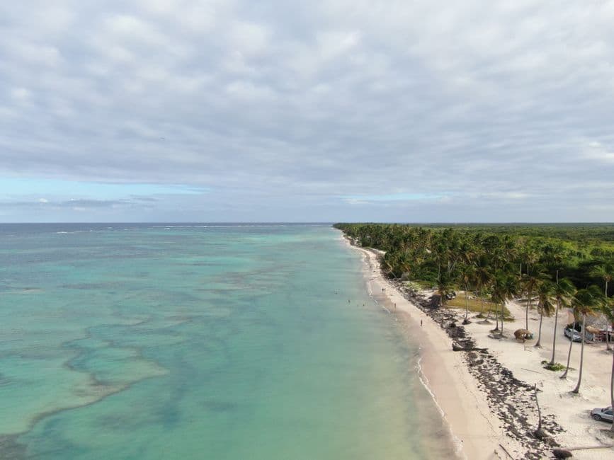 Vista aérea de una playa tropical con palmeras, en el chat de Yamasá