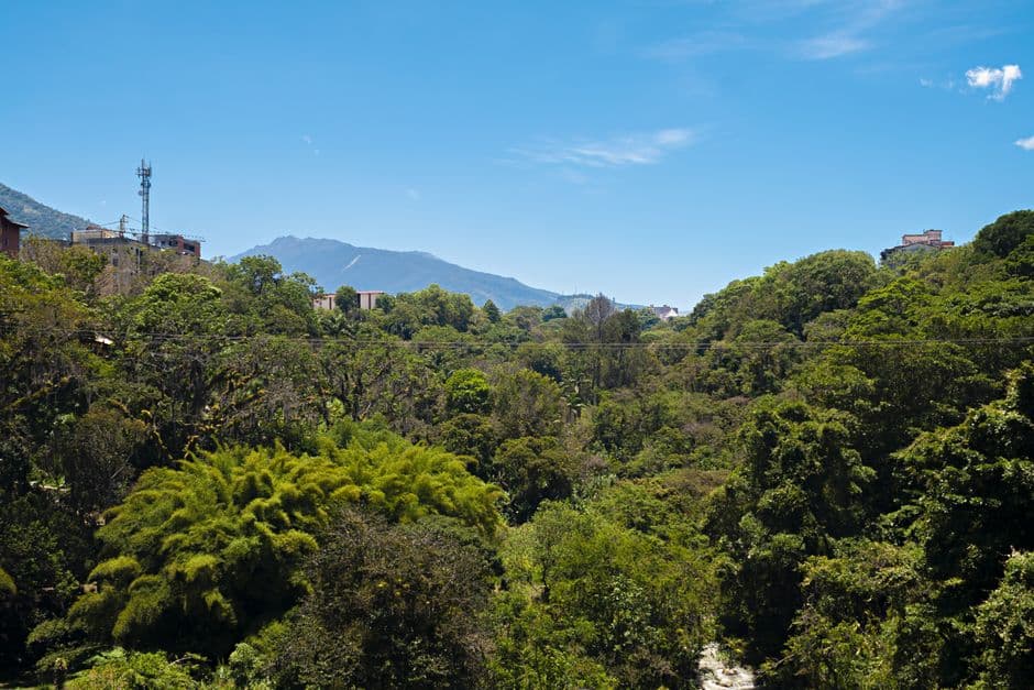 Árboles verdes y montañas a lo lejos bajo un cielo azul, en el chat de Tucupido