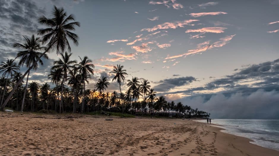 Palmeras junto a la orilla de la playa al atardecer, en el chat de Altagracia de Orituco