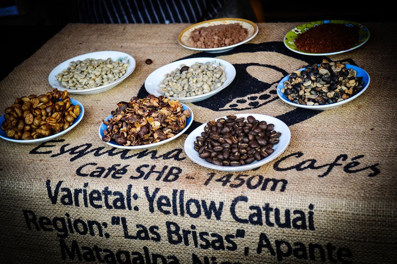 Granos de café en una feria cultural, en el chat de Juigalpa