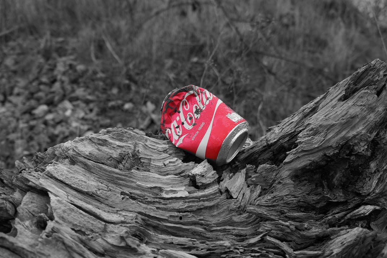 Botella de refresco tirada en la naturaleza, en el chat de El Coca