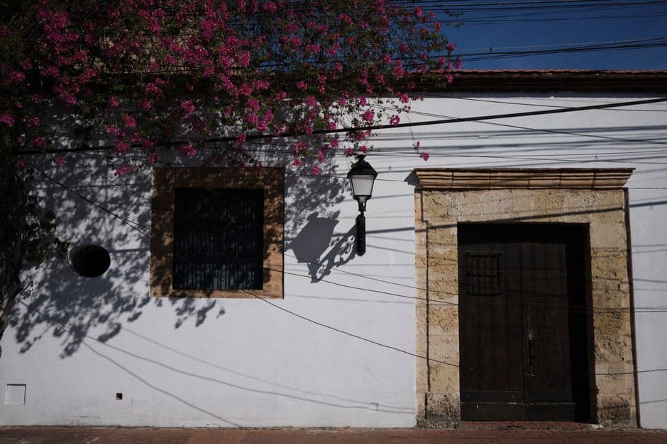 Ramas en flor que proyectan sombra sobre un edificio blanco, en el chat de Santo Domingo Oeste
