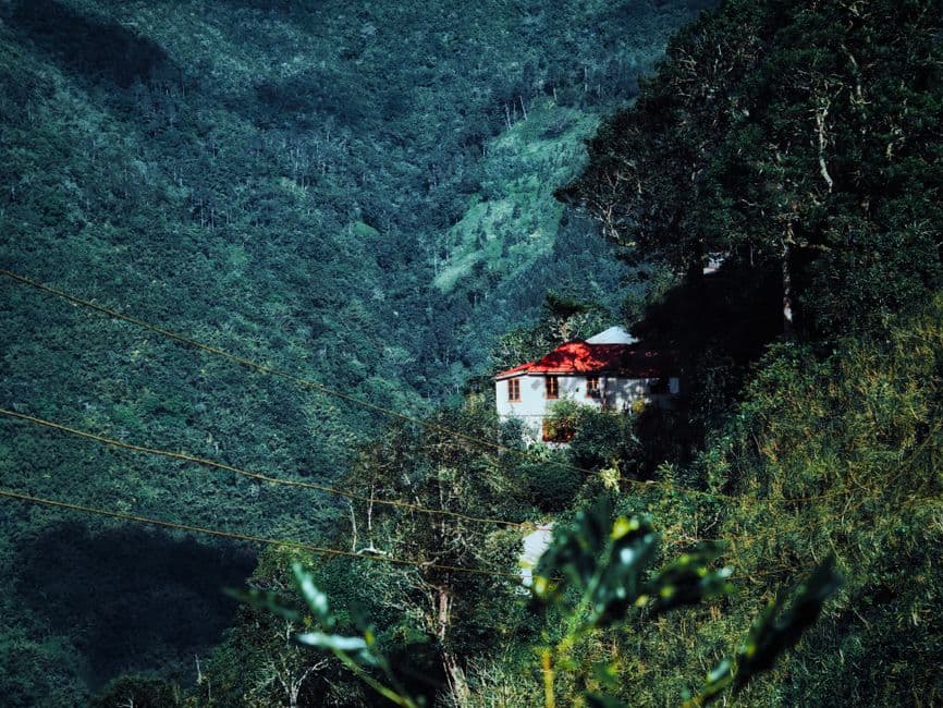 Casa aislada entre vegetación frondosa, en el chat de Chaparral