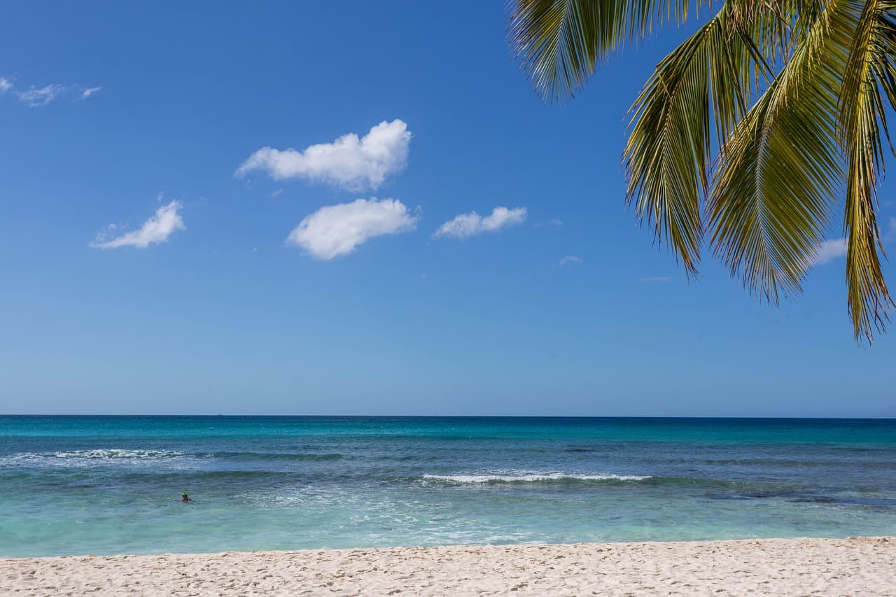 Paisaje de República Dominicana, en el chat de Puñal