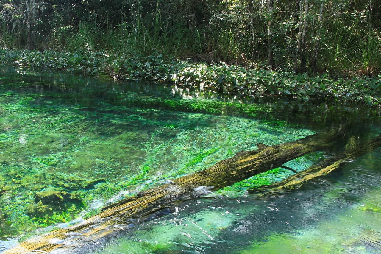 Corriente de un río de aguas claras en plena naturaleza, en el chat de Teopisca