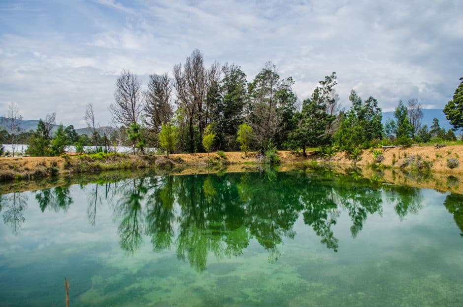 Lago tranquilo rodeado de naturaleza, en el chat de Aguazul