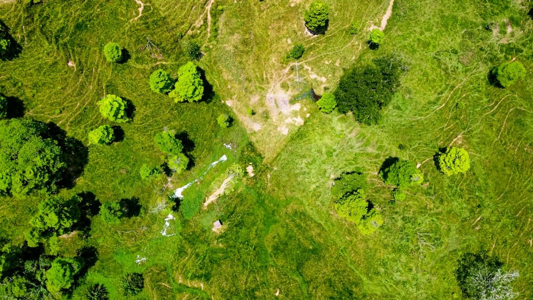 Vista aérea de una zona de hierba con árboles, en el chat de Lebrija