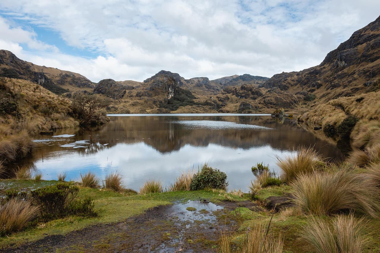Lago, bosque y montaña, en el chat de Otavalo