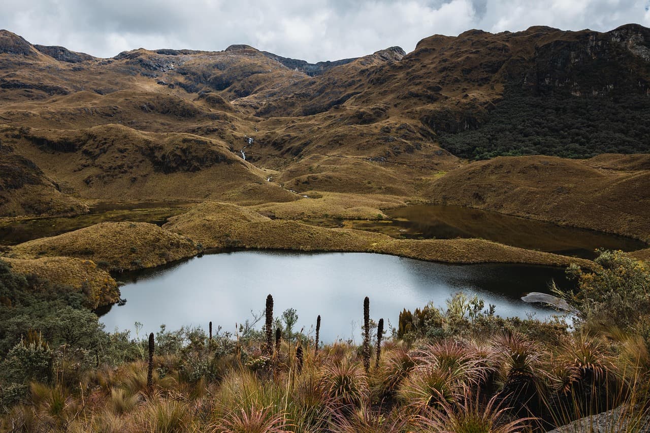 Bosque, pradera, lago y montaña, en el chat de Ventanas