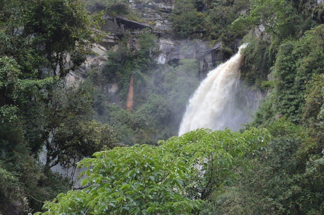 Una gran cascada en medio de un bosque, en el chat de Sibaté
