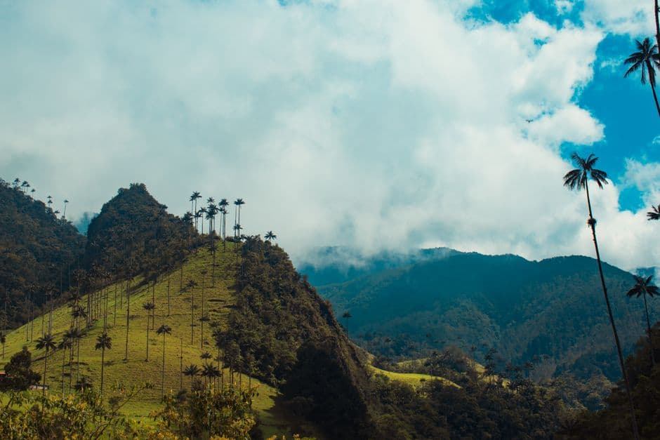 Árboles verdes en la ladera de una montaña, en el chat de Sampués
