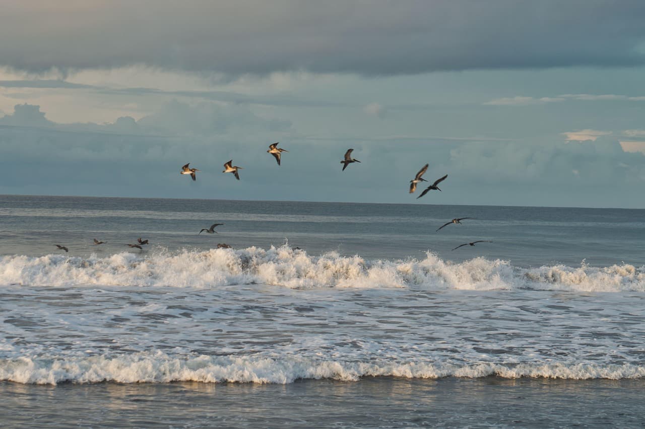 Olas del océano en la costa de Costa Rica, en el chat de Cariari