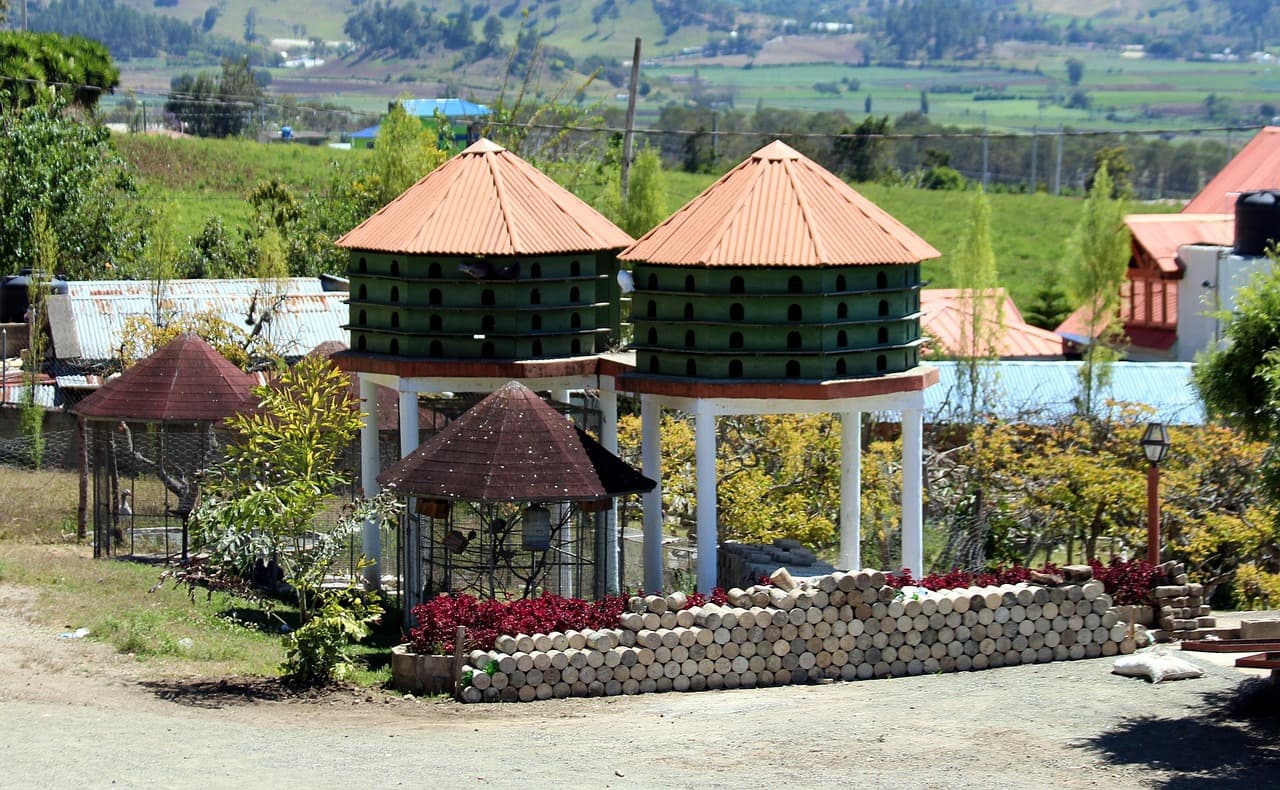 Palomar con casitas para palomas sobre la hierba, en el chat de Gaspar Hernández
