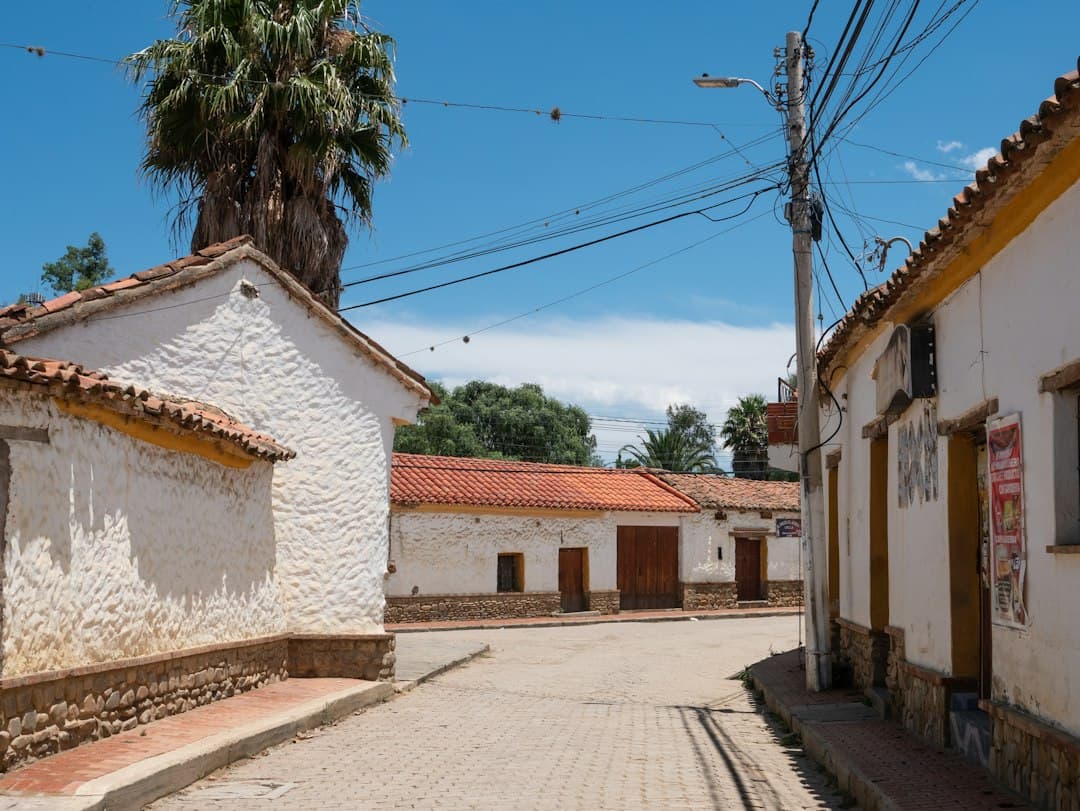 Calle con edificios blancos y palmeras, en el chat de Camiri
