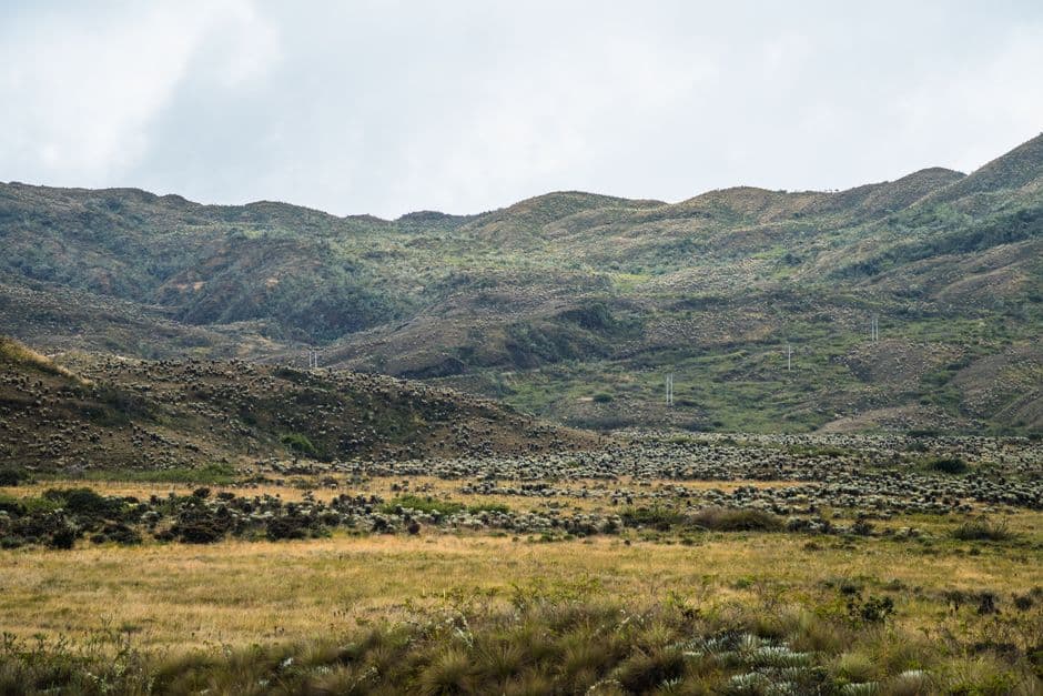 Parque Nacional Natural Chingaza en Colombia, en el chat de Gigante