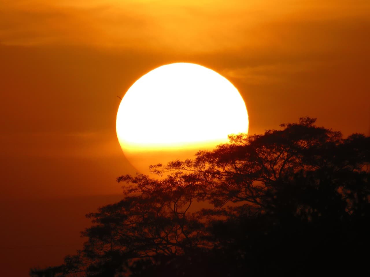 Puesta de sol sobre la naturaleza, en el chat de Sincé