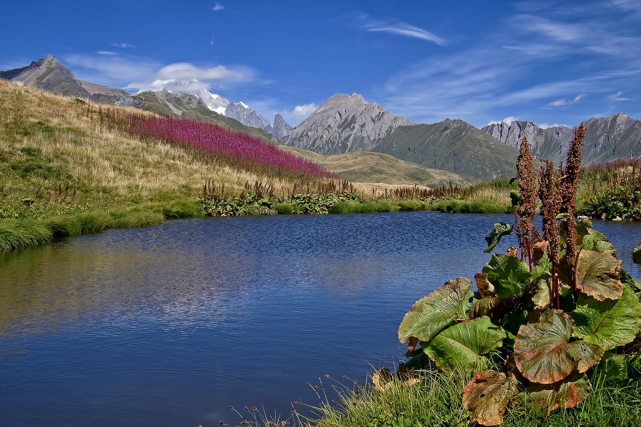 Lago de montaña rodeado de plantas silvestres, en el chat de San Bernardo del Viento