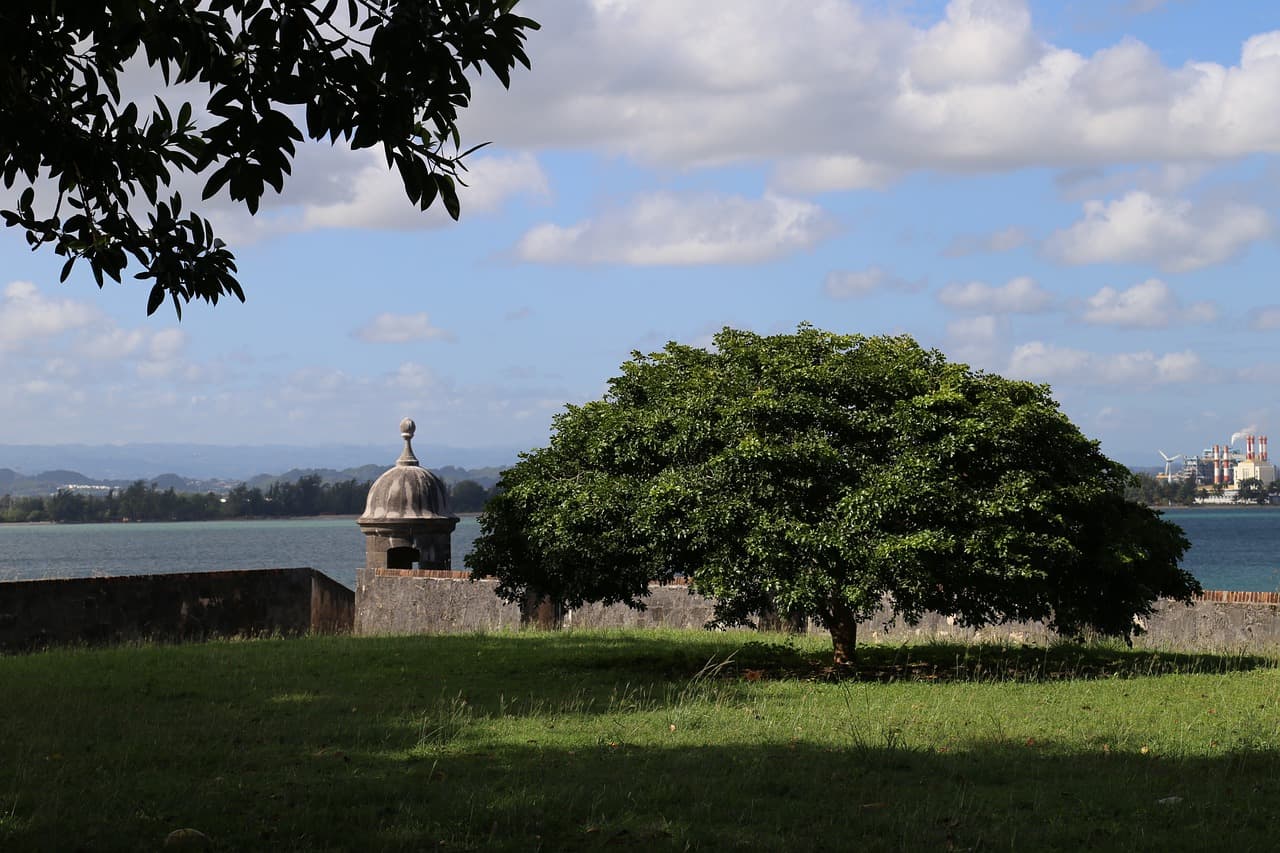 Costa caribeña de Puerto Rico, en el chat de Yauco