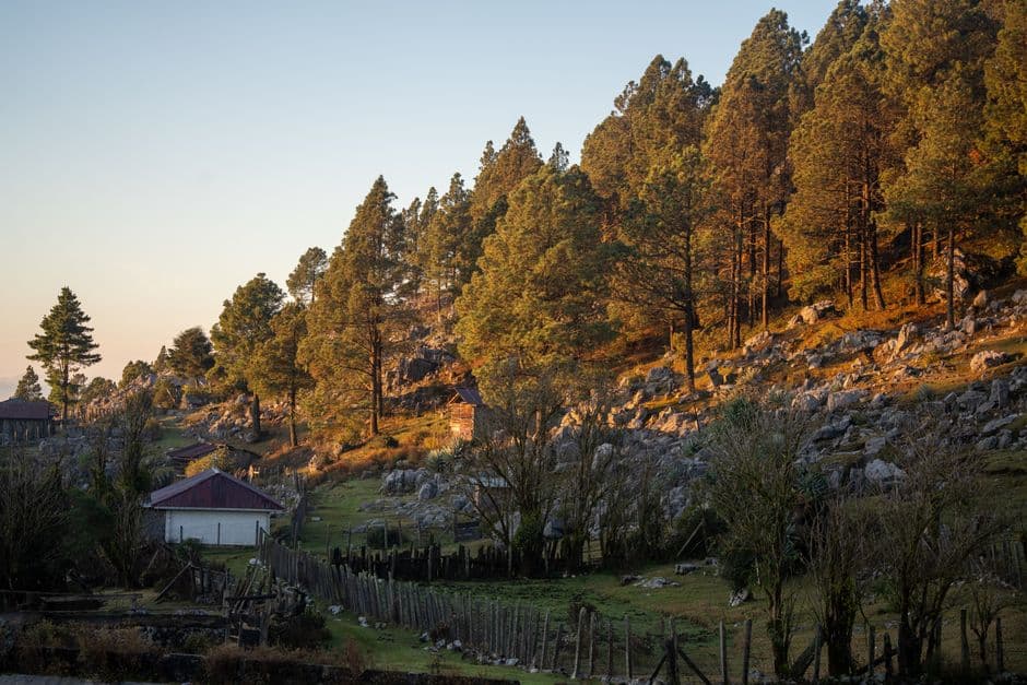 Amanecer entre los árboles de un bosque de Guatemala, en el chat de San José Poaquíl