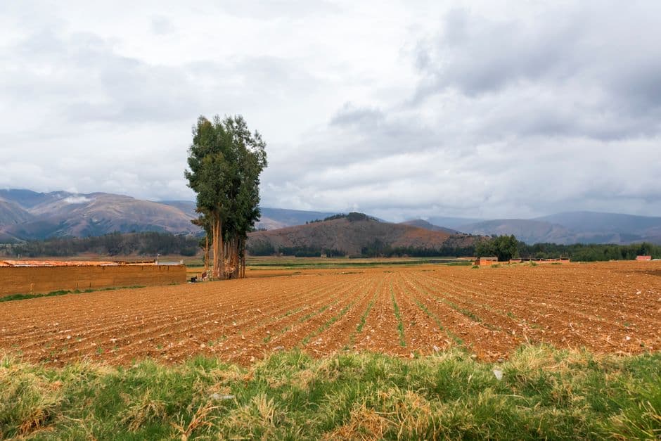 Tierras de cultivo junto a las montañas, en el chat de Alto de la Alianza