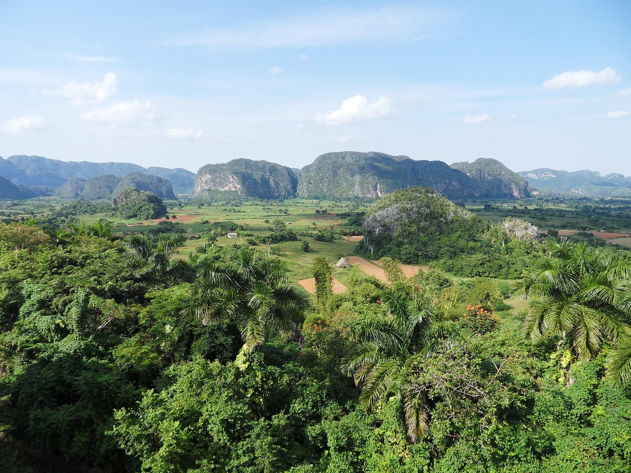 Paisaje natural de Cuba, en el chat de San Antonio de los Baños