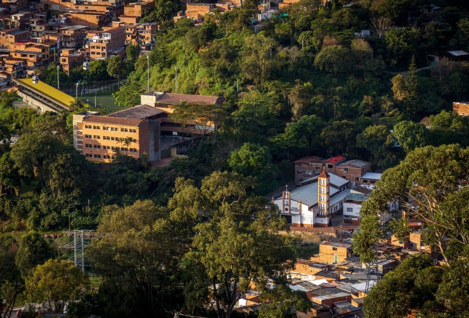 Árboles en medio de la ciudad, en el chat de Santo Tomás