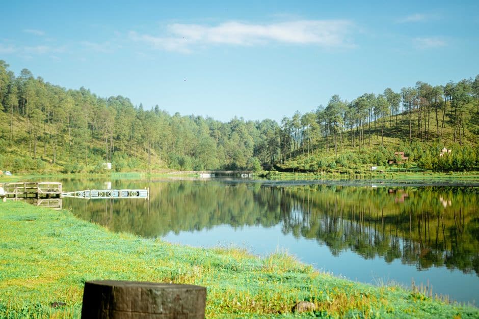 Árboles reflejados en aguas tranquilas, en el chat de Río Bravo