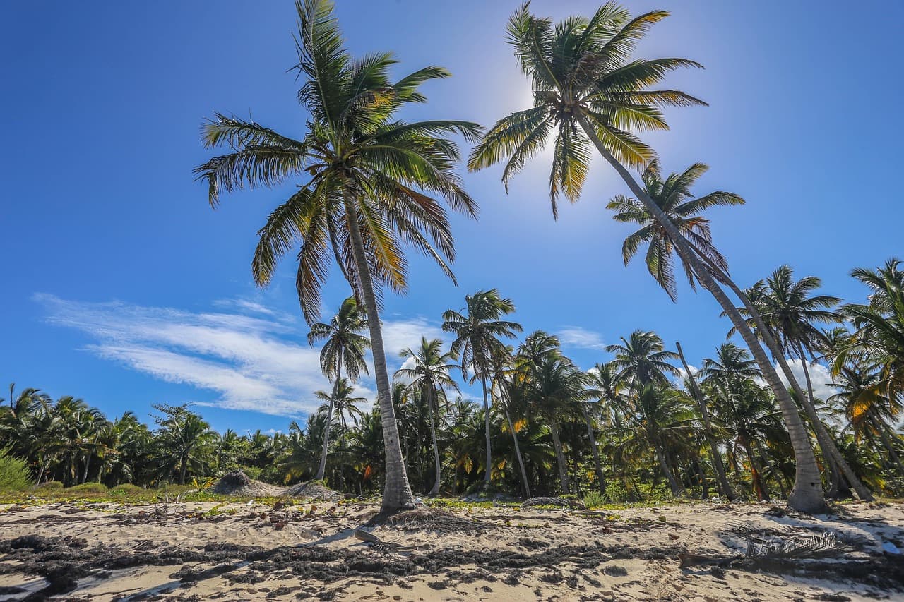 Paisaje de República Dominicana, en el chat de Cambita Garabitos