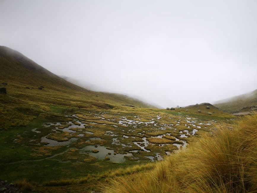Paisaje de altiplano con niebla en Perú, en el chat de Las Lomas