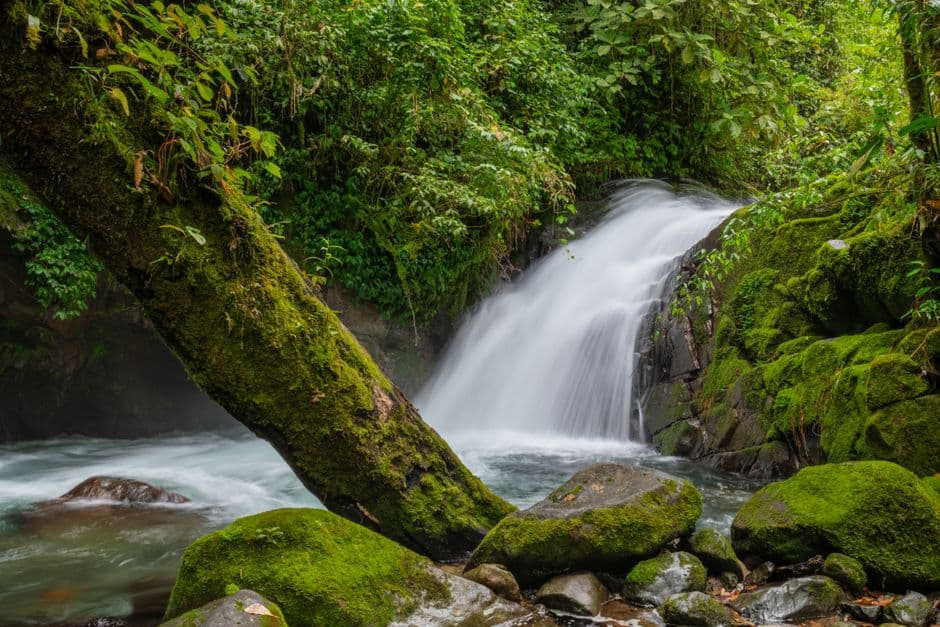 Cascada en plena selva costarricense, en el chat de Guácima