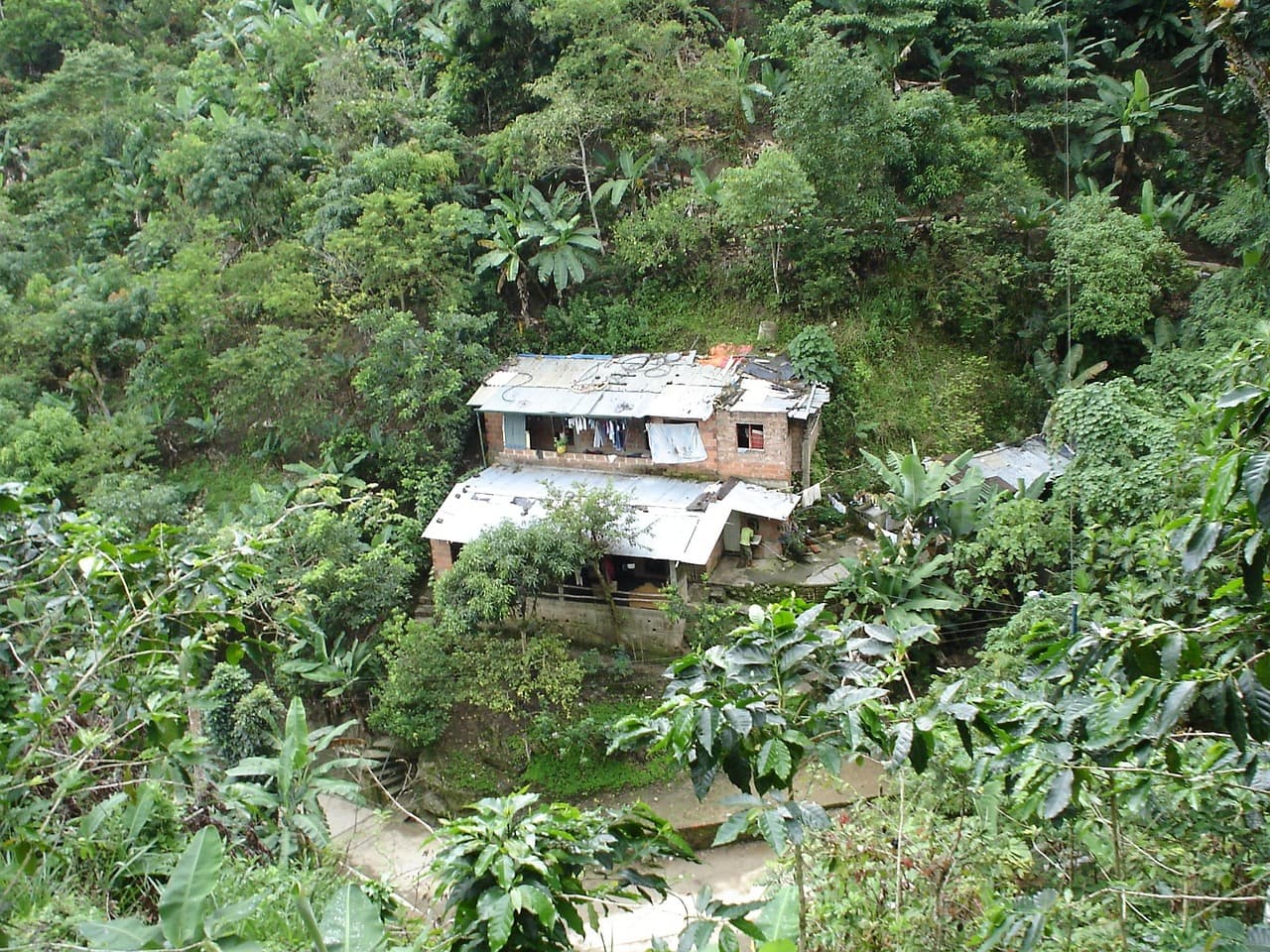 Casa en Colombia, en el chat de Chimichagua