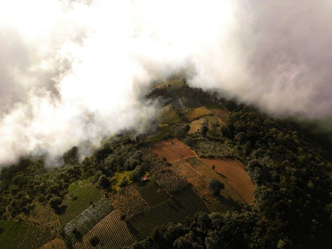 Montañas con niebla, terrazas de cultivo y laderas boscosas, en el chat de Dolores