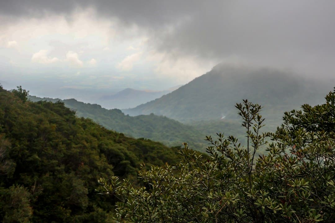 Montañas cubiertas por las nubes, en el chat de San Sebastián Salitrillo
