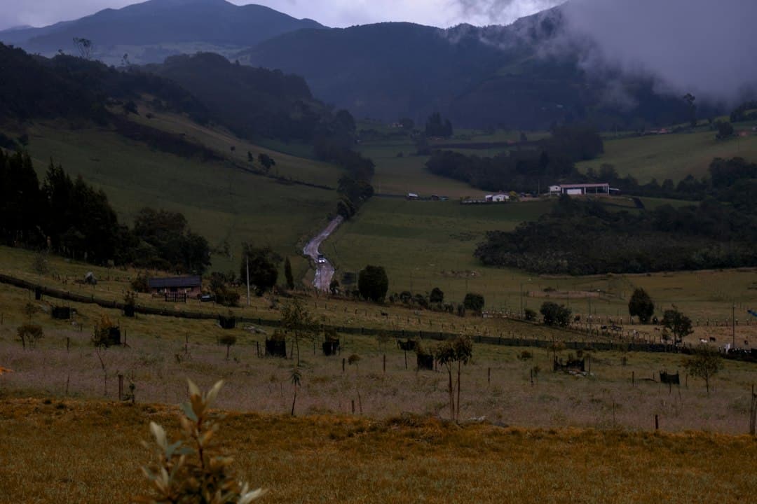 Prado de hierba atravesado por un río, en el chat de Tabio