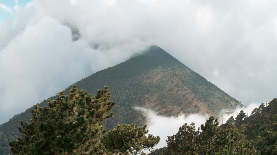 Vista de un volcán y árboles coníferos, en el chat de Zaragoza
