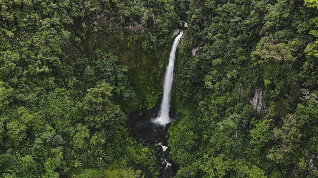 Cascada en medio de un bosque, en el chat de Turrialba