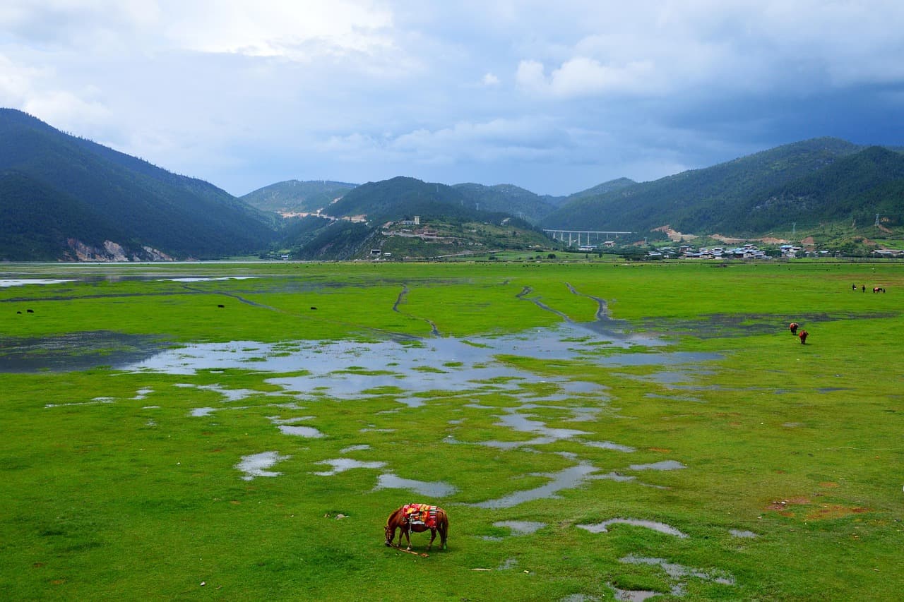 Pradera de montaña bajo el cielo, en el chat de La Masica