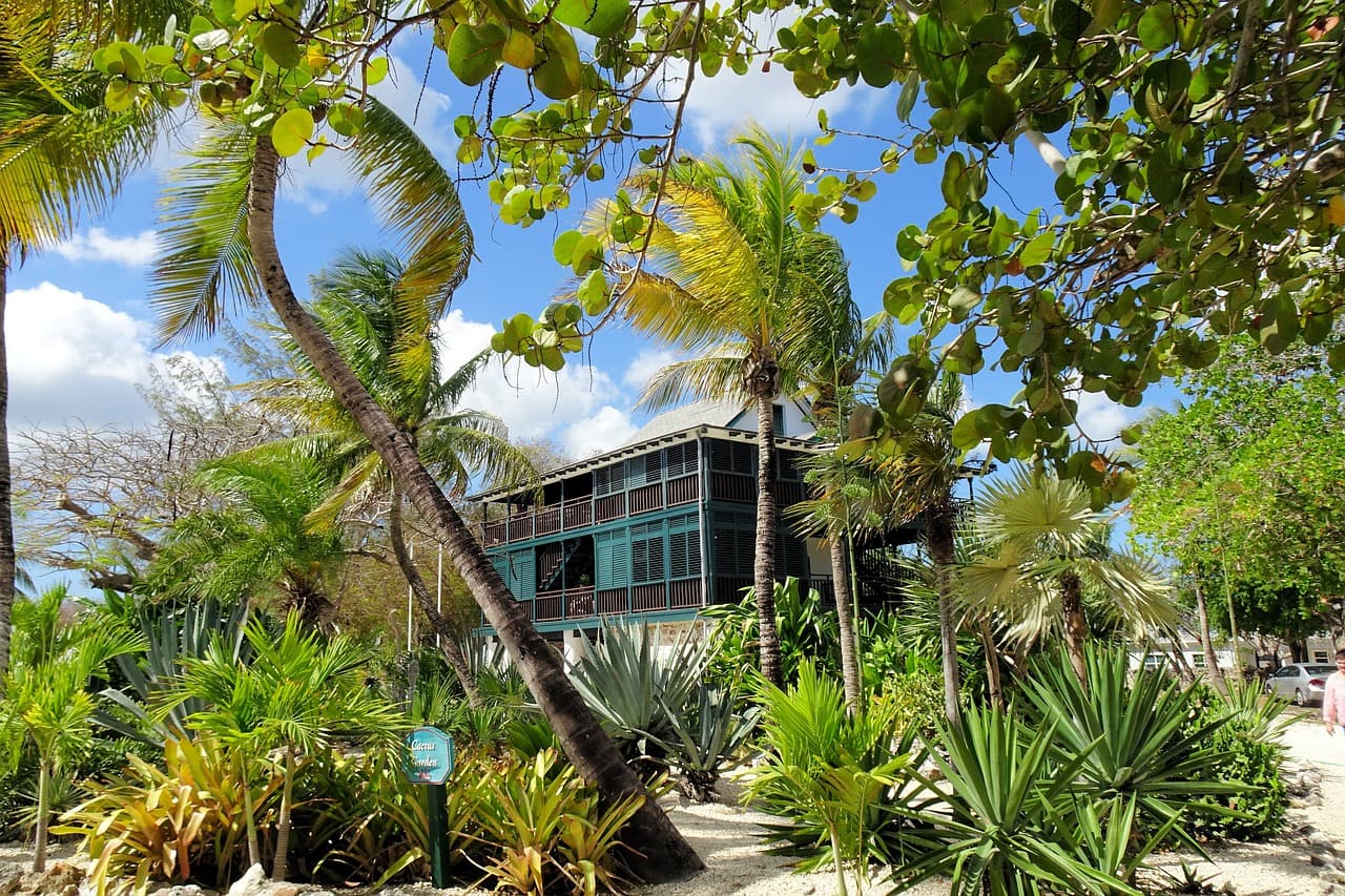 Costa de una isla del Caribe, en el chat de Pedro Camejo