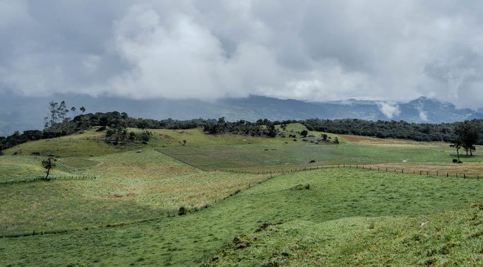 Pradera de hierba verde, en el chat de La Calera