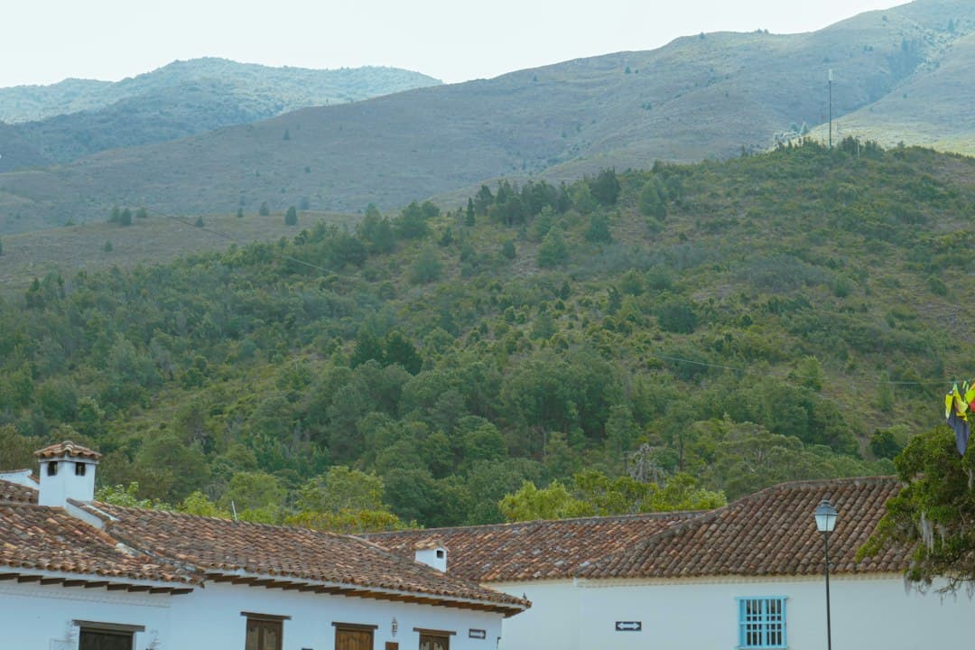 Edificios blancos con tejados de teja y montañas verdes, en el chat de Caicedonia