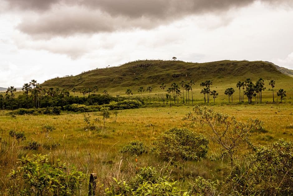 Paisaje de colinas verdes y nubes, en el chat de Gran Sabana