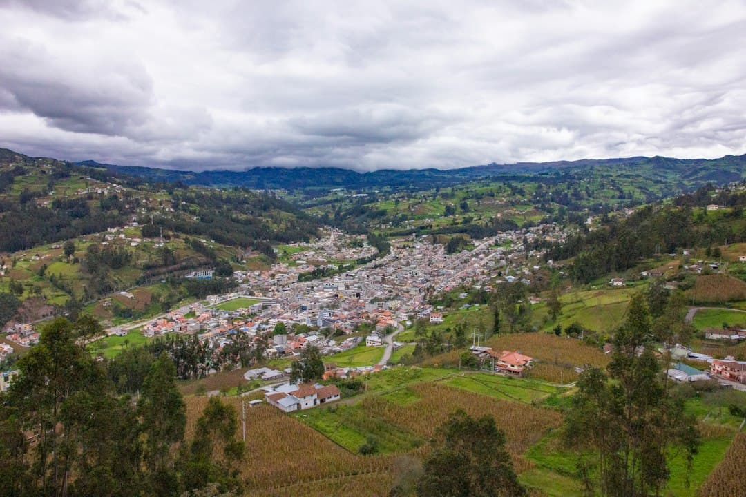 Vista aérea de árboles y casas bajo un cielo nublado de día, en el chat de Loreto